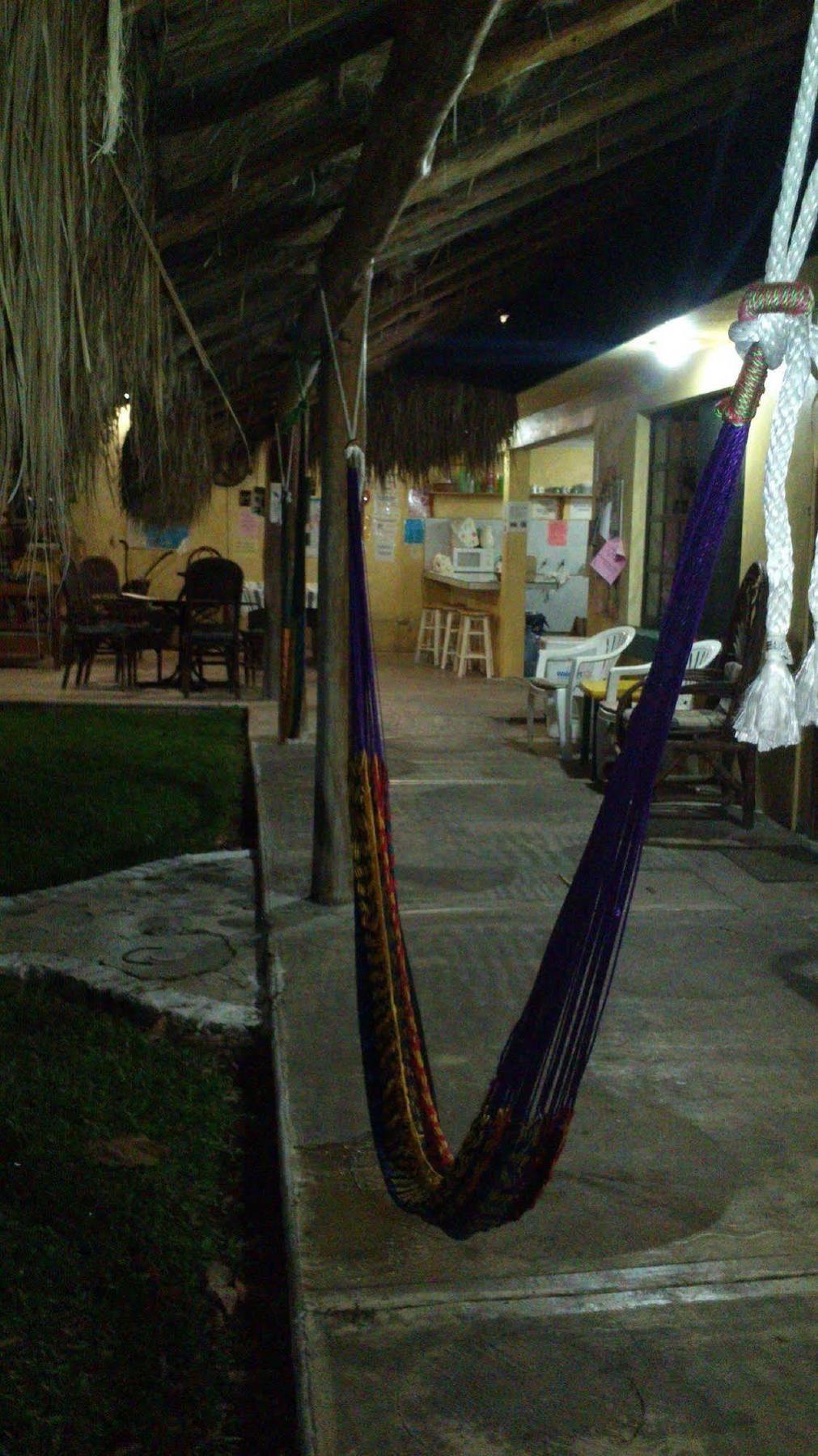 Amigos Hostel Cozumel Exterior foto