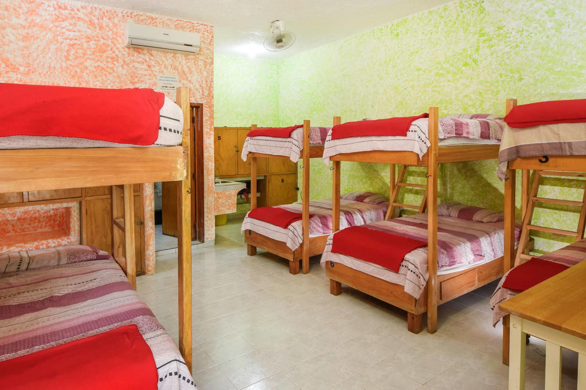 Amigos Hostel Cozumel Paturi Hostel foto