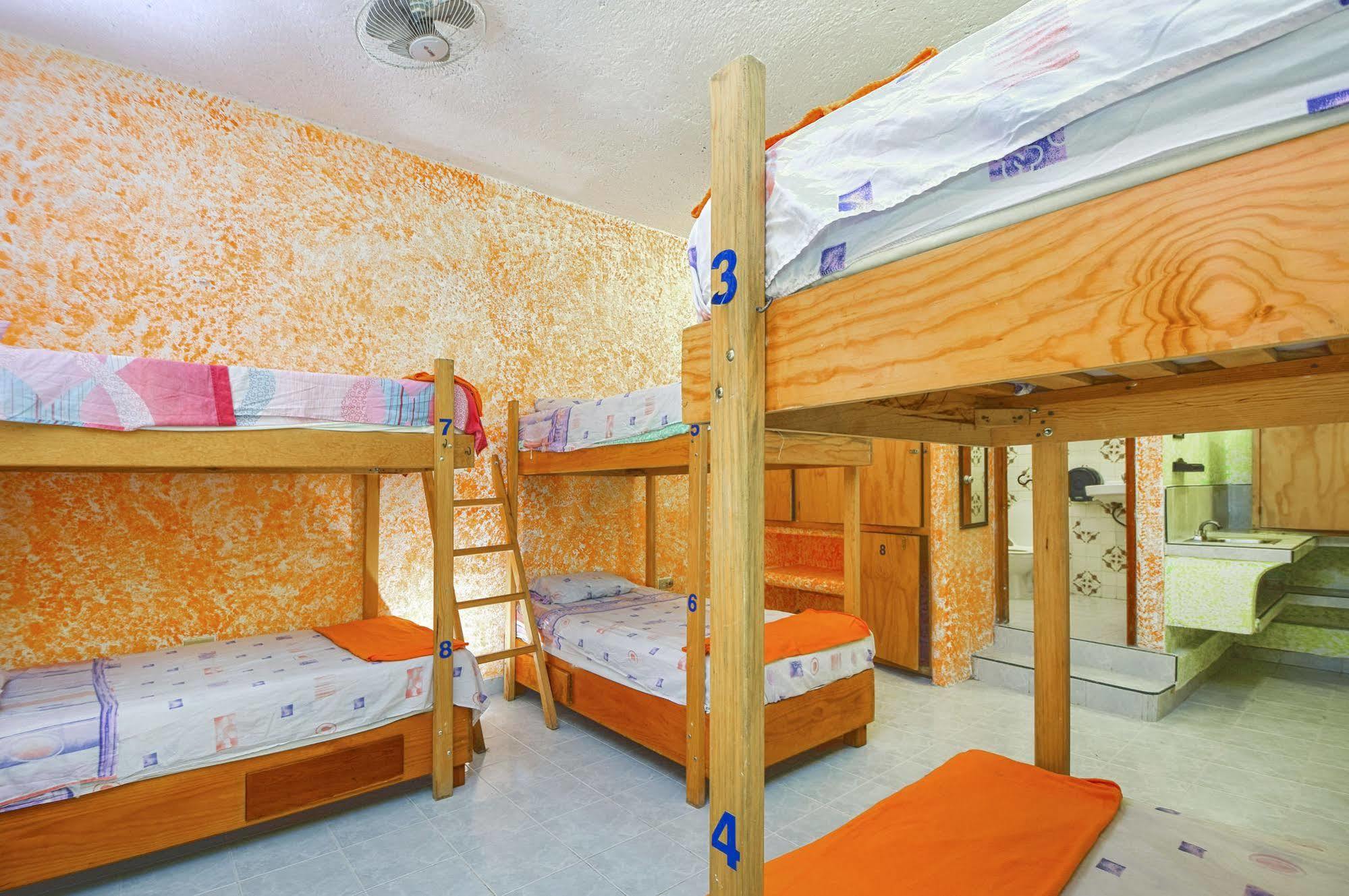 Amigos Hostel Cozumel Exterior foto