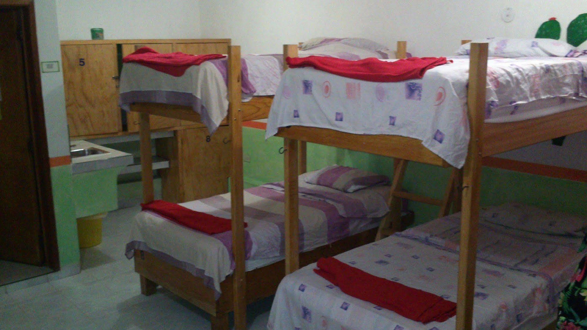 Amigos Hostel Cozumel Paturi Hostel foto